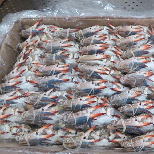 King Crabs