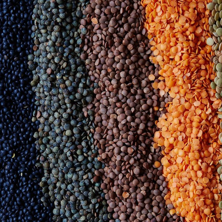 Lentils