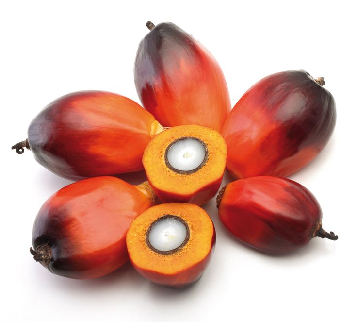 Palm Oil